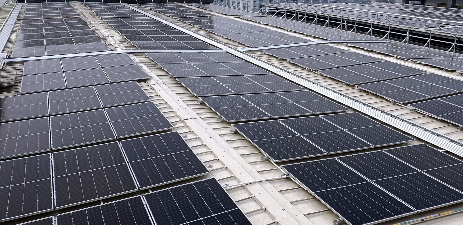 Green Photovoltaics, Lighting the Future